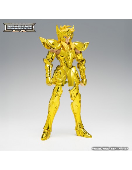 copy of RESERVA AQUARIUS HYOGA INHERITOR OF THE GOLD CLOTH SAINT SEIYA CLOTH MYTH EX
