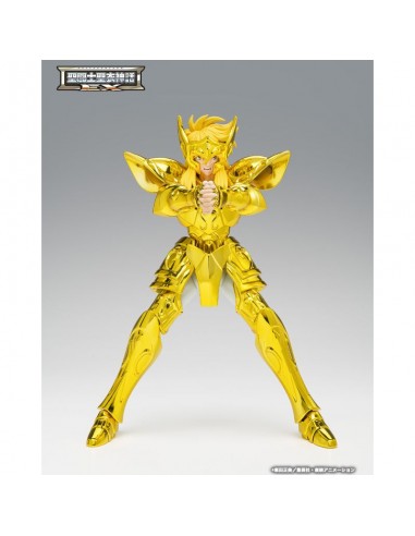 copy of RESERVA AQUARIUS HYOGA INHERITOR OF THE GOLD CLOTH SAINT SEIYA CLOTH MYTH EX
