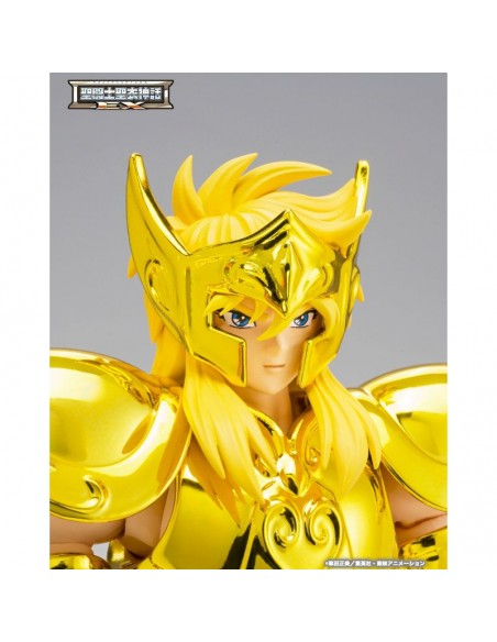 copy of RESERVA AQUARIUS HYOGA INHERITOR OF THE GOLD CLOTH SAINT SEIYA CLOTH MYTH EX