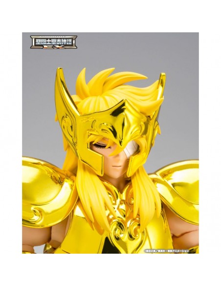 copy of RESERVA AQUARIUS HYOGA INHERITOR OF THE GOLD CLOTH SAINT SEIYA CLOTH MYTH EX
