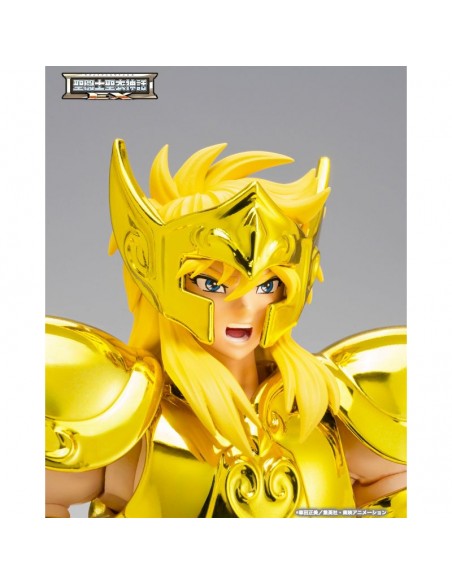 copy of RESERVA AQUARIUS HYOGA INHERITOR OF THE GOLD CLOTH SAINT SEIYA CLOTH MYTH EX