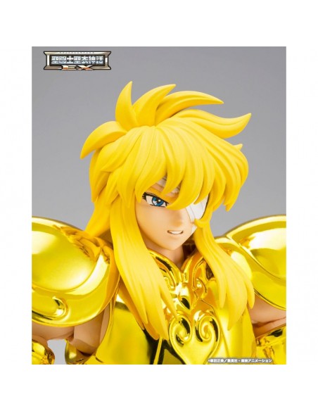 copy of RESERVA AQUARIUS HYOGA INHERITOR OF THE GOLD CLOTH SAINT SEIYA CLOTH MYTH EX